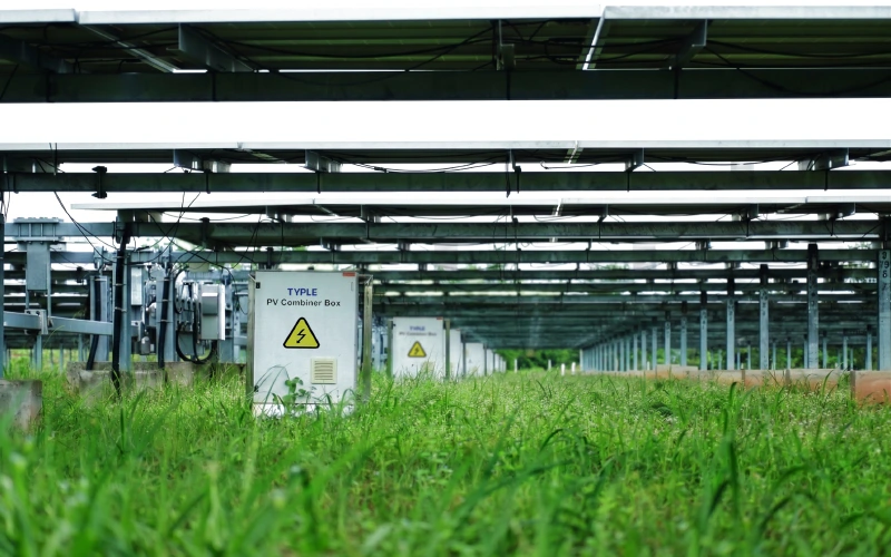 Agro-PV Village Microgrid Project img